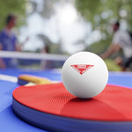 1961 Landmine Sign Ping Pong Balls, 6 pcs
