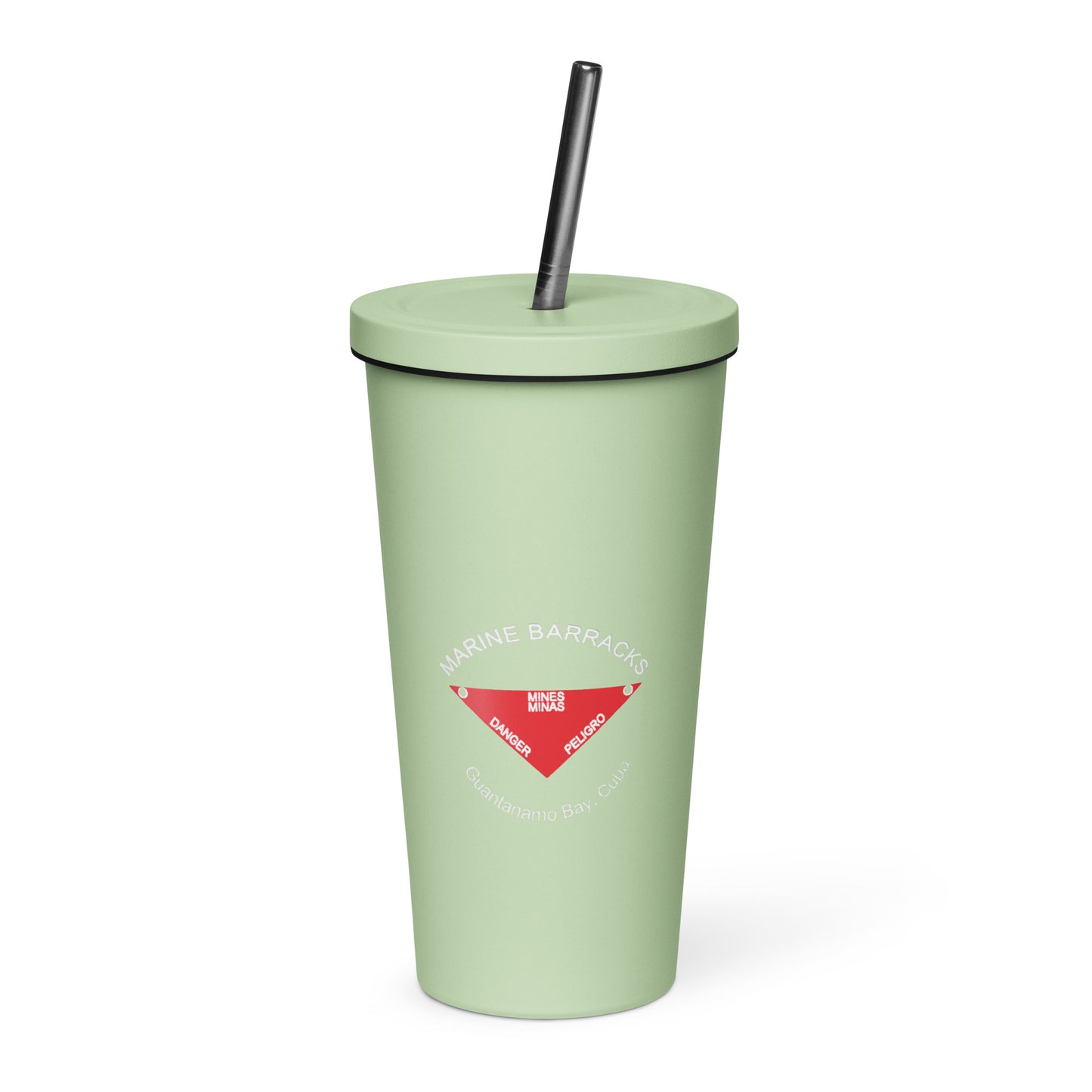 1961 Insulated tumbler with a straw