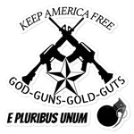 RIFLE STICKERS 9 ACCESSORIES