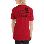 CBRN Jenn military